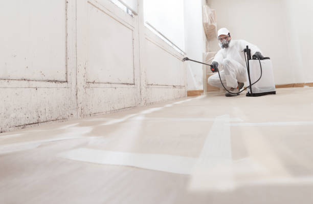 24/7 Emergency Attic Mold Remediation experts in Bainbridge, GA